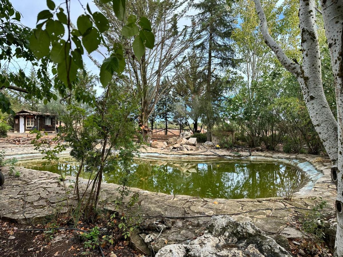 マラガ El Refugio Archidonaヴィラ エクステリア 写真
